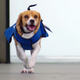 Illustration for article titled Lost Hound – Airline Beagle Finds Your Phone And Steals Your Heart
